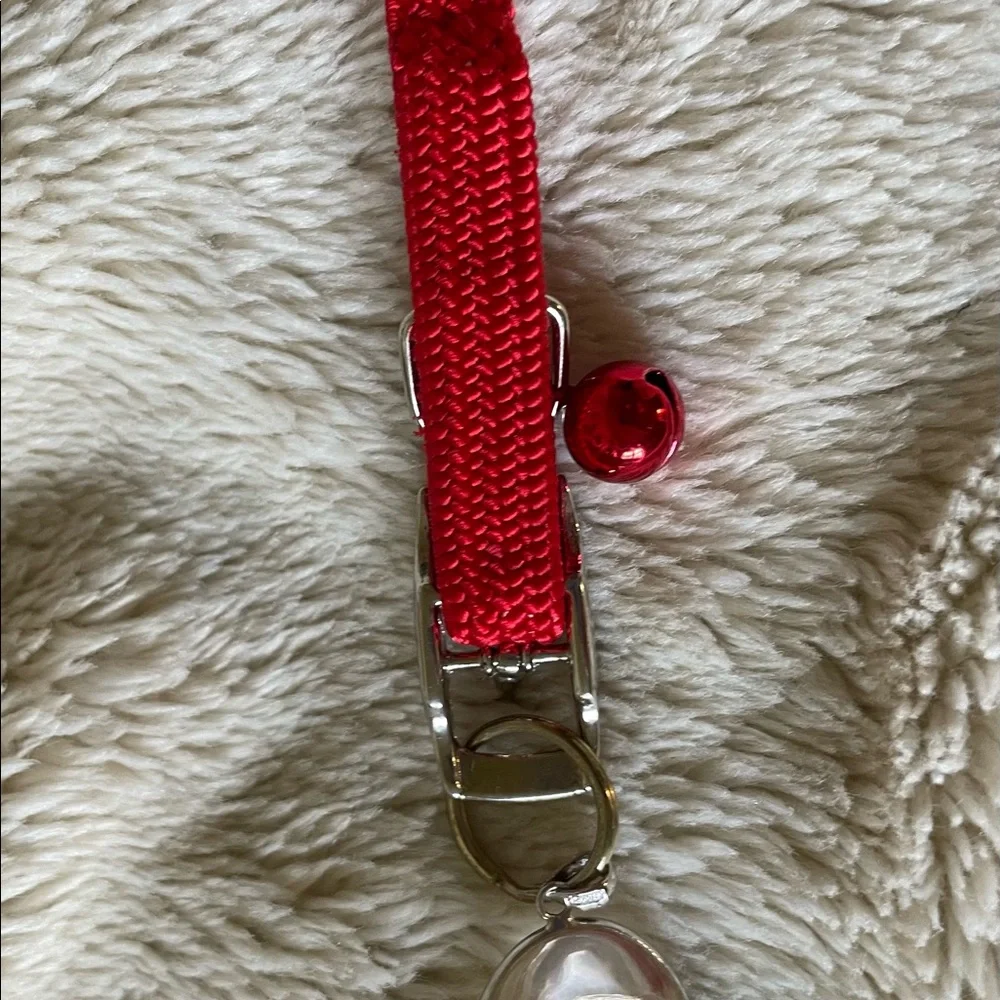Cat pet collar with clear pendant, 13” chain. Beautiful Pendant can be detached.